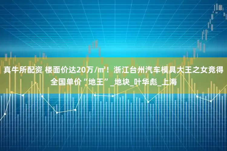 真牛所配资 楼面价达20万/㎡！浙江台州汽车模具大王之女竞得全国单价“地王”_地块_叶华彪_上海