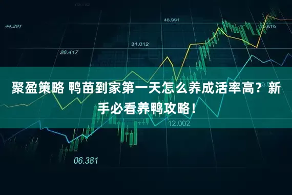 聚盈策略 鸭苗到家第一天怎么养成活率高？新手必看养鸭攻略！